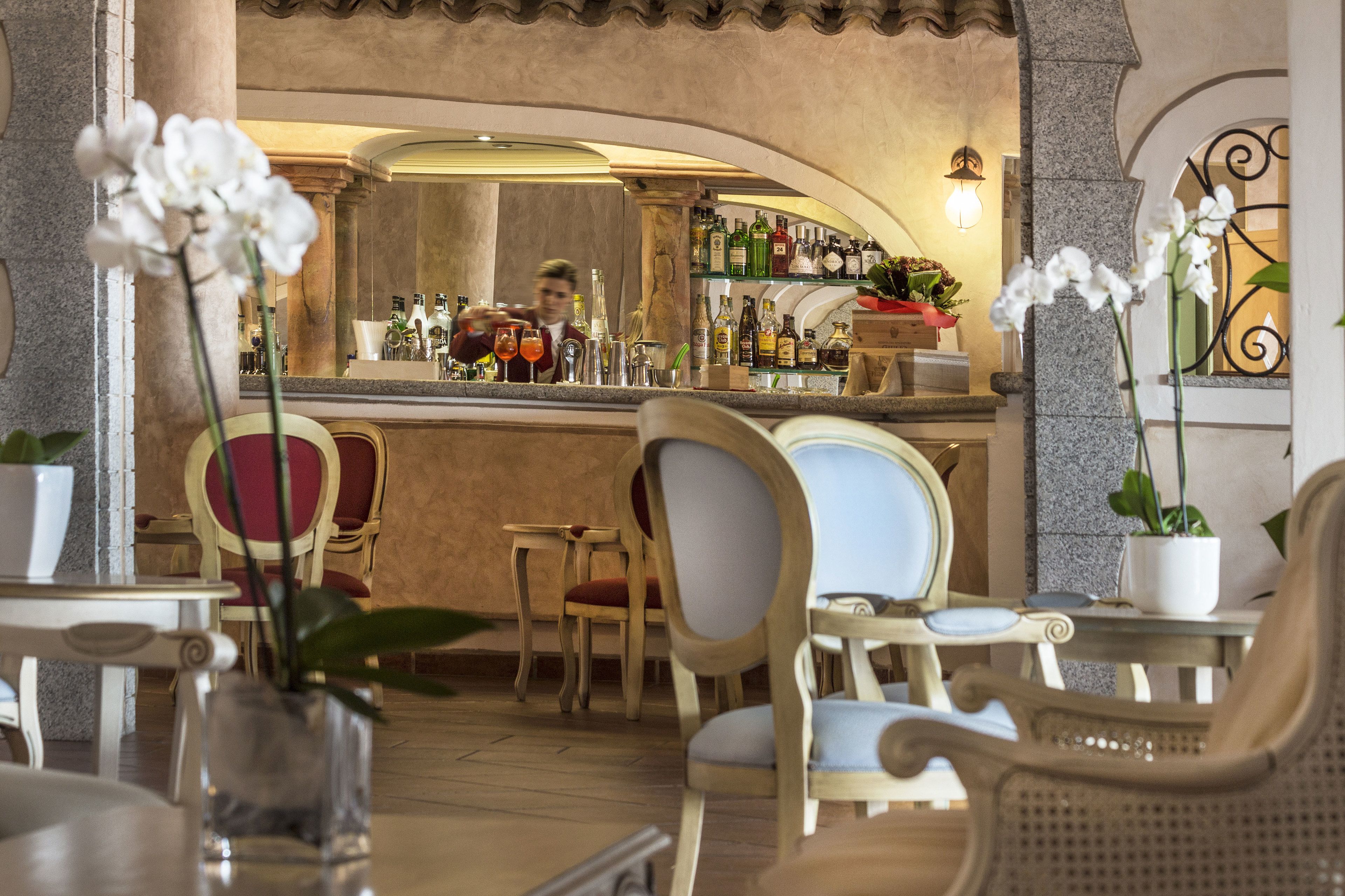 Zona de bar con sillas y mesas, barra con botellas y plantas en macetas.