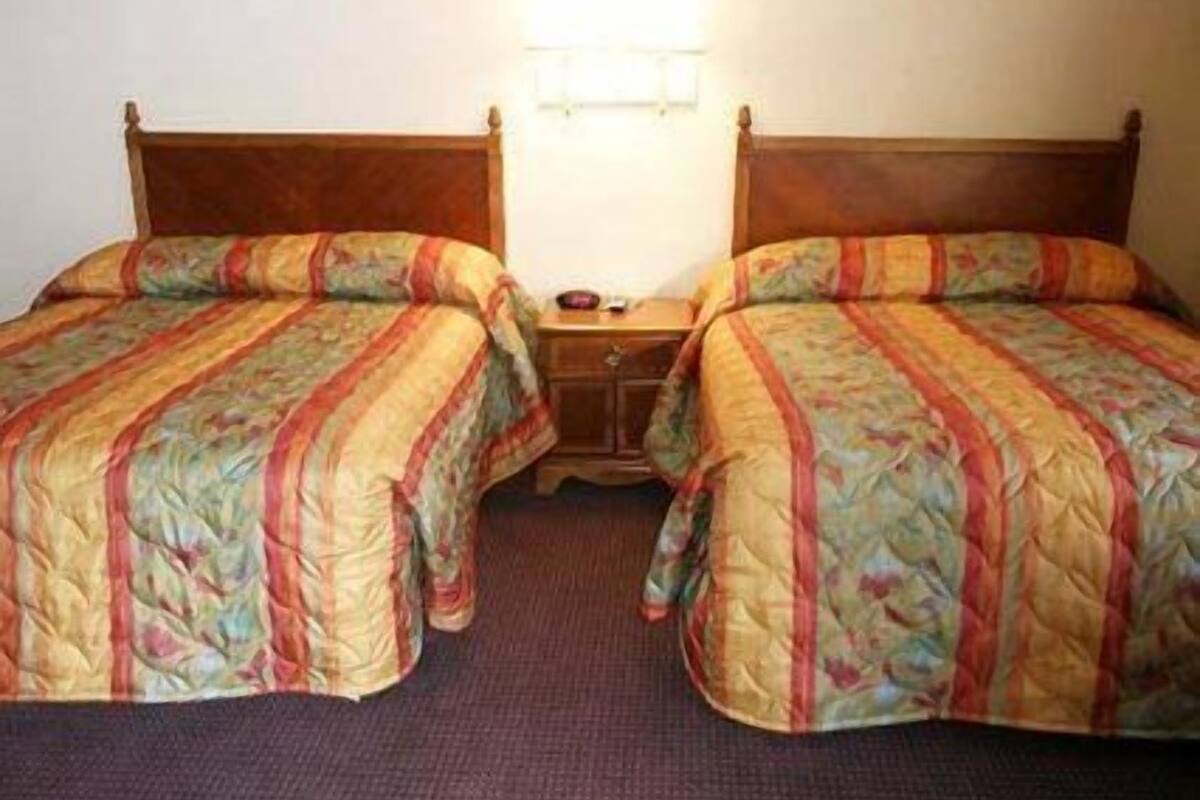 Deux lits simples avec une literie à motifs floraux, une tête de lit en bois et une petite table de chevet avec une lampe.