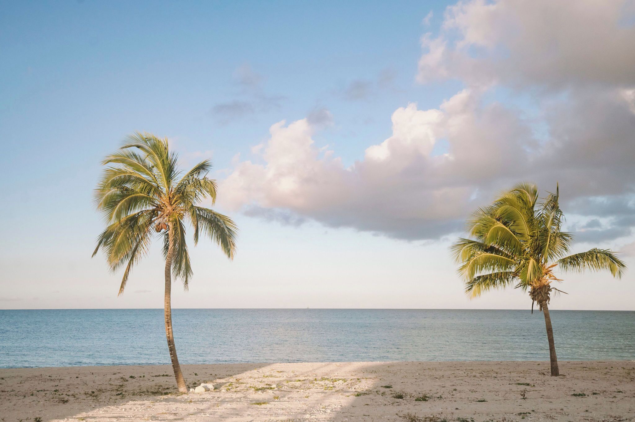 Chambre Double pour 1 personne, 1 chambre, non-fumeur, vue océan | Vue sur la plage/l’océan