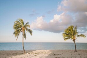 Habitación doble de uso individual, 1 habitación, para no fumadores, vista al océano | Vista a la playa o el mar