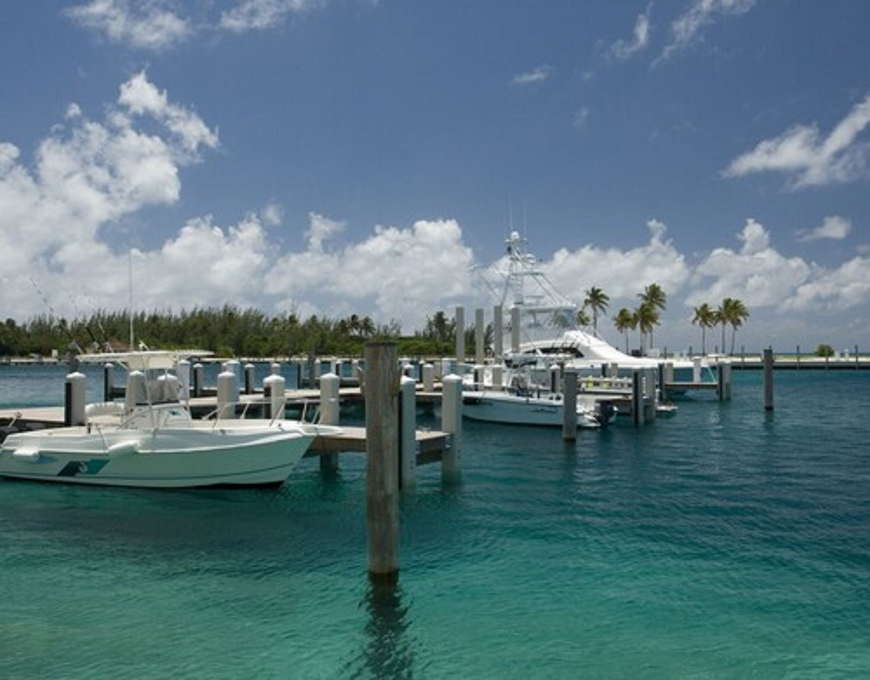 A marina with several boats docked at wooden piers, surrounded by calm water and palm trees under a partly cloudy sky.