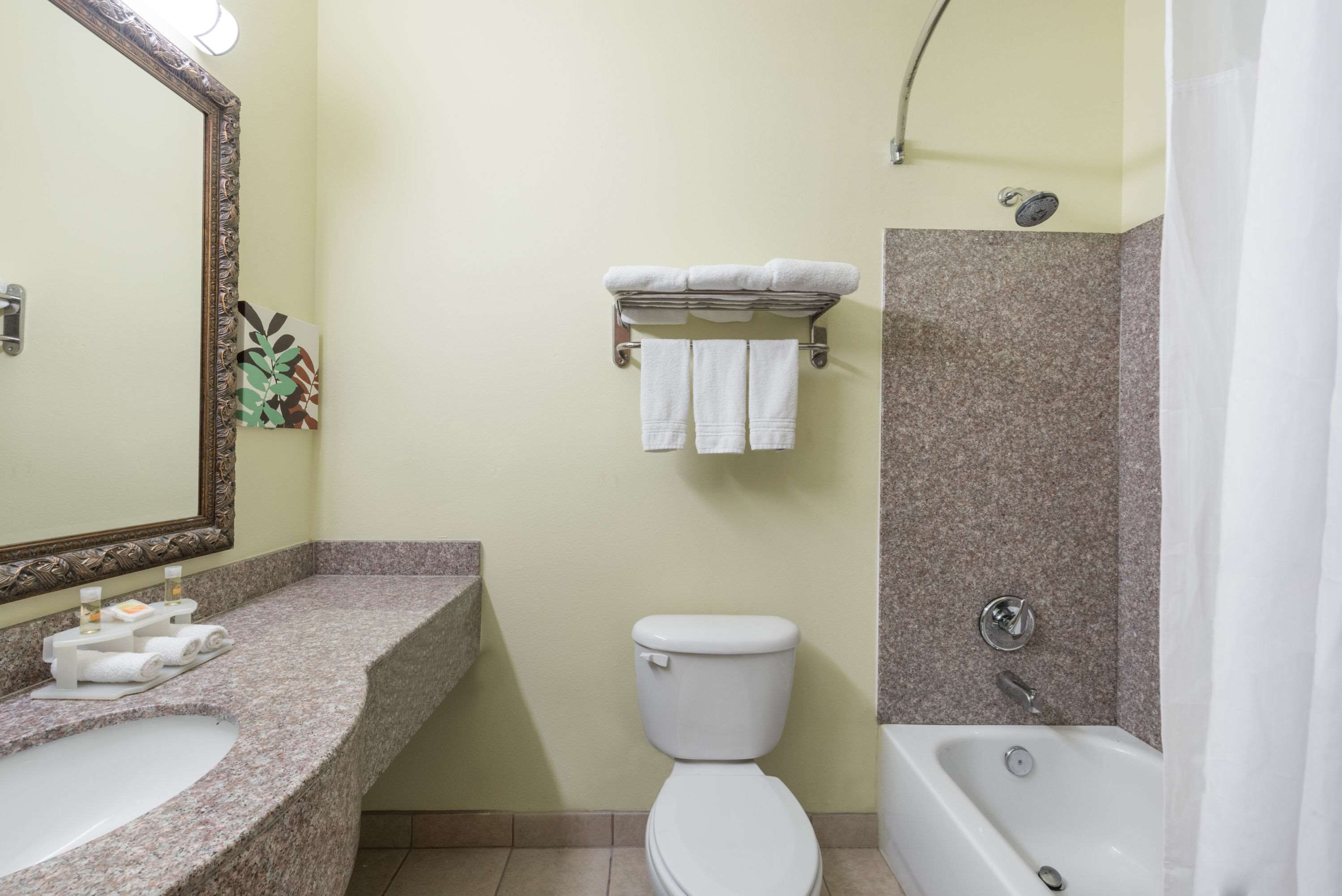Combined shower/bathtub, free toiletries, hair dryer, towels