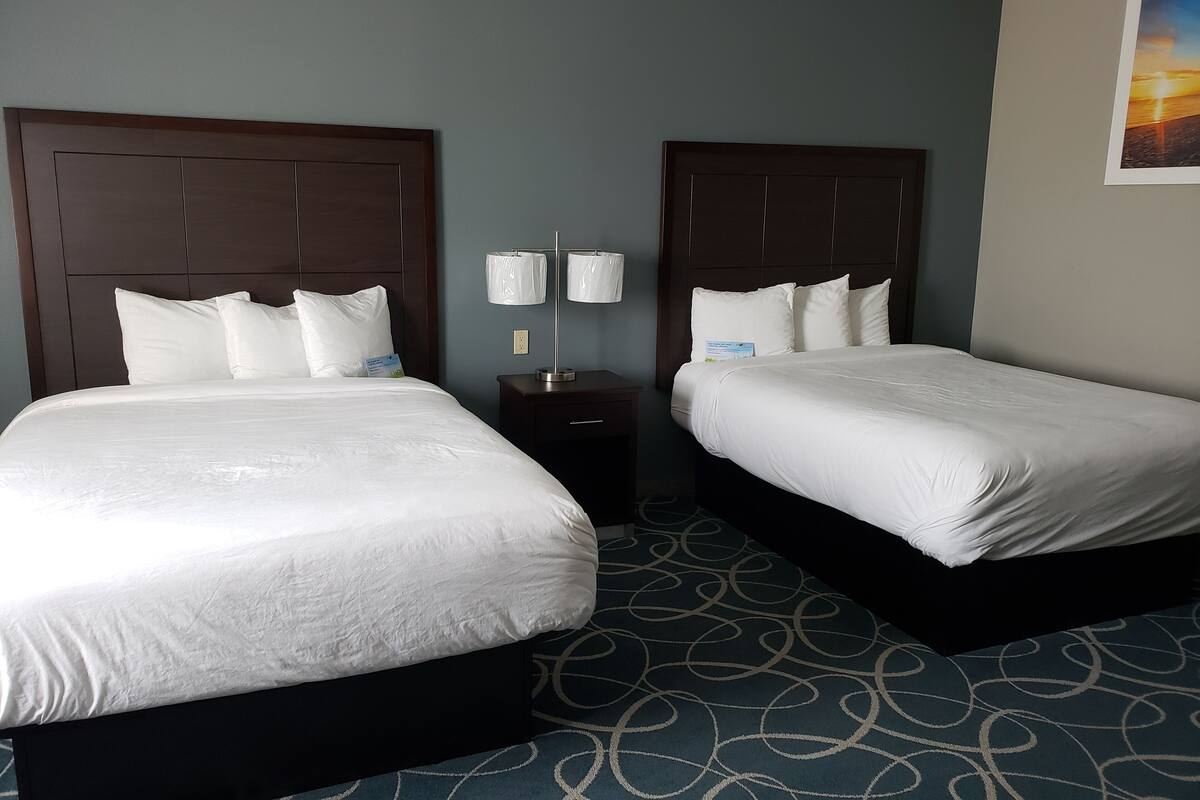 Two double beds with dark headboards, white bedding, and a blue patterned carpet.