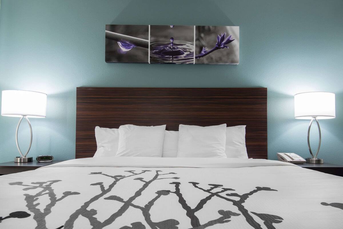 A hotel room with a large bed, two bedside lamps, a nightstand with a phone, and a wall-mounted artwork above the bed.