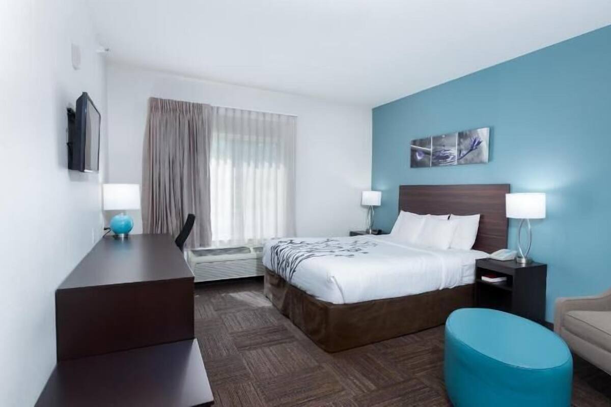 A hotel room with a bed, a desk, a chair, a TV, and a window with curtains.