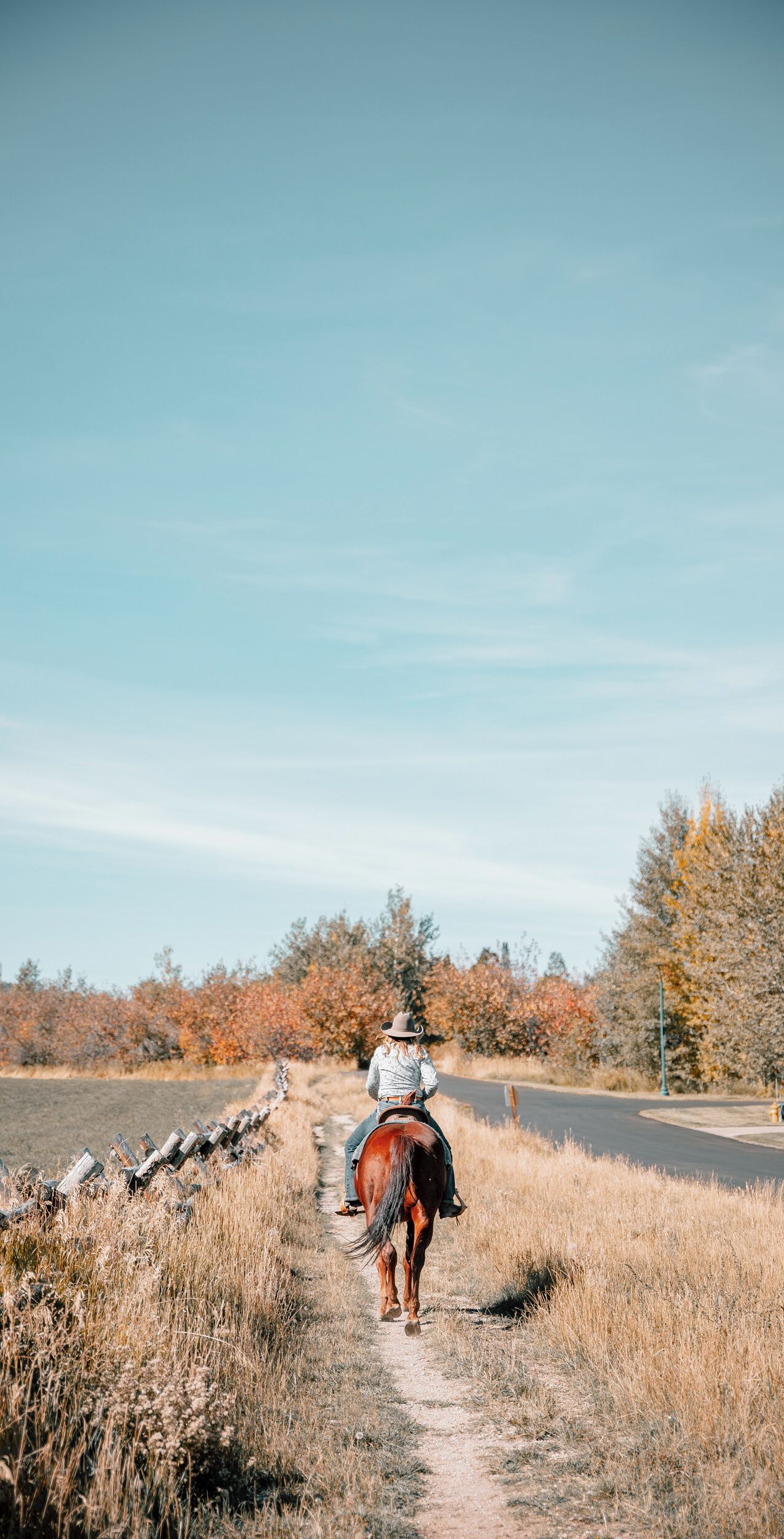 A person riding a horse along a dirt path surrounded by autumn foliage.