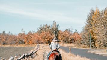 A person riding a horse along a dirt path surrounded by autumn foliage.