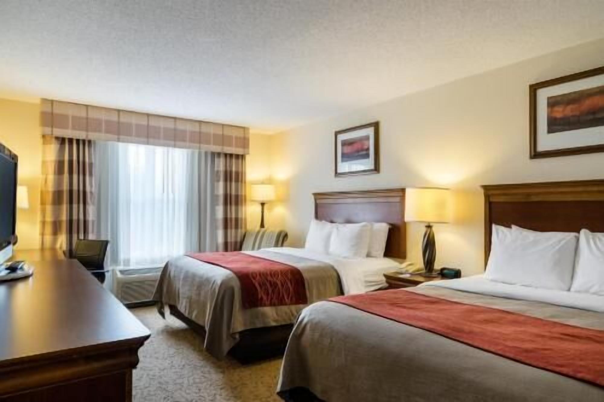 Iron/ironing board, free cribs/infant beds, rollaway beds, free WiFi