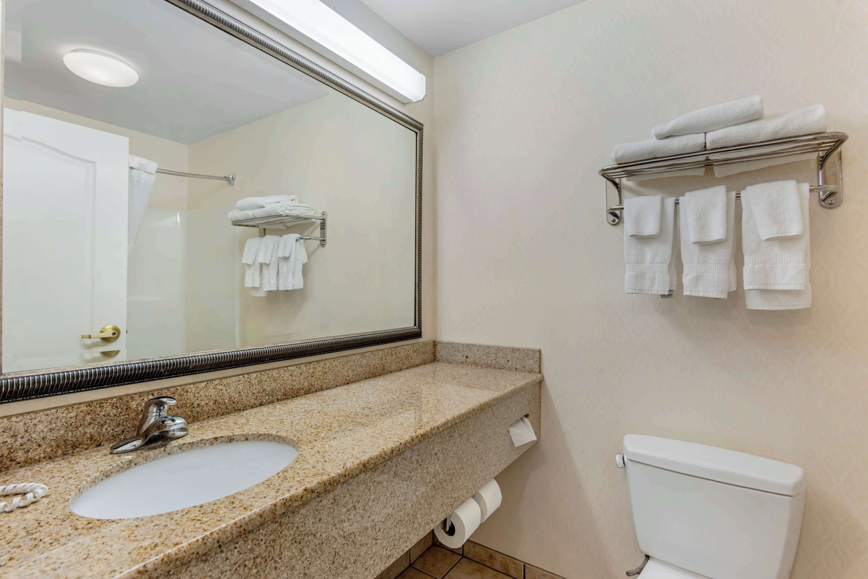 A bathroom with a granite countertop sink, a mirror, a toilet, and towel racks.