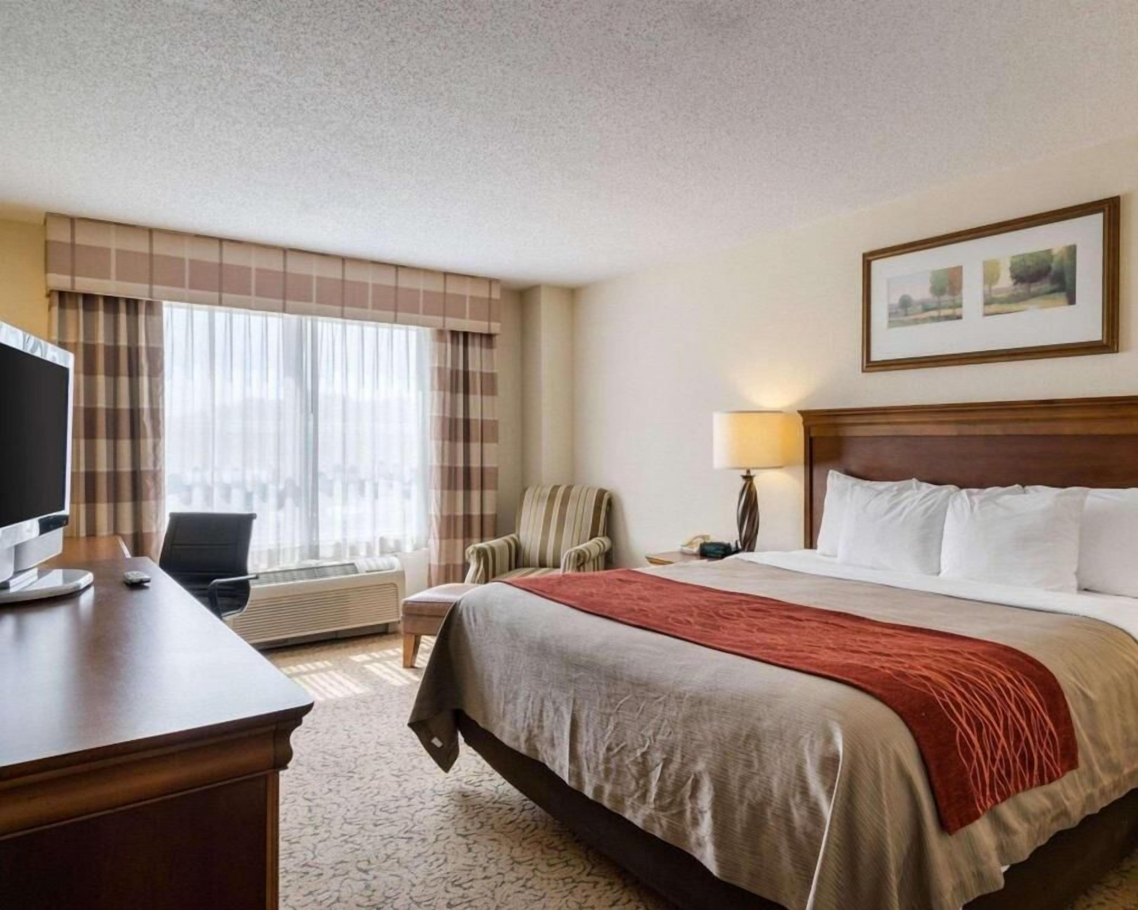Iron/ironing board, free cribs/infant beds, rollaway beds, free WiFi