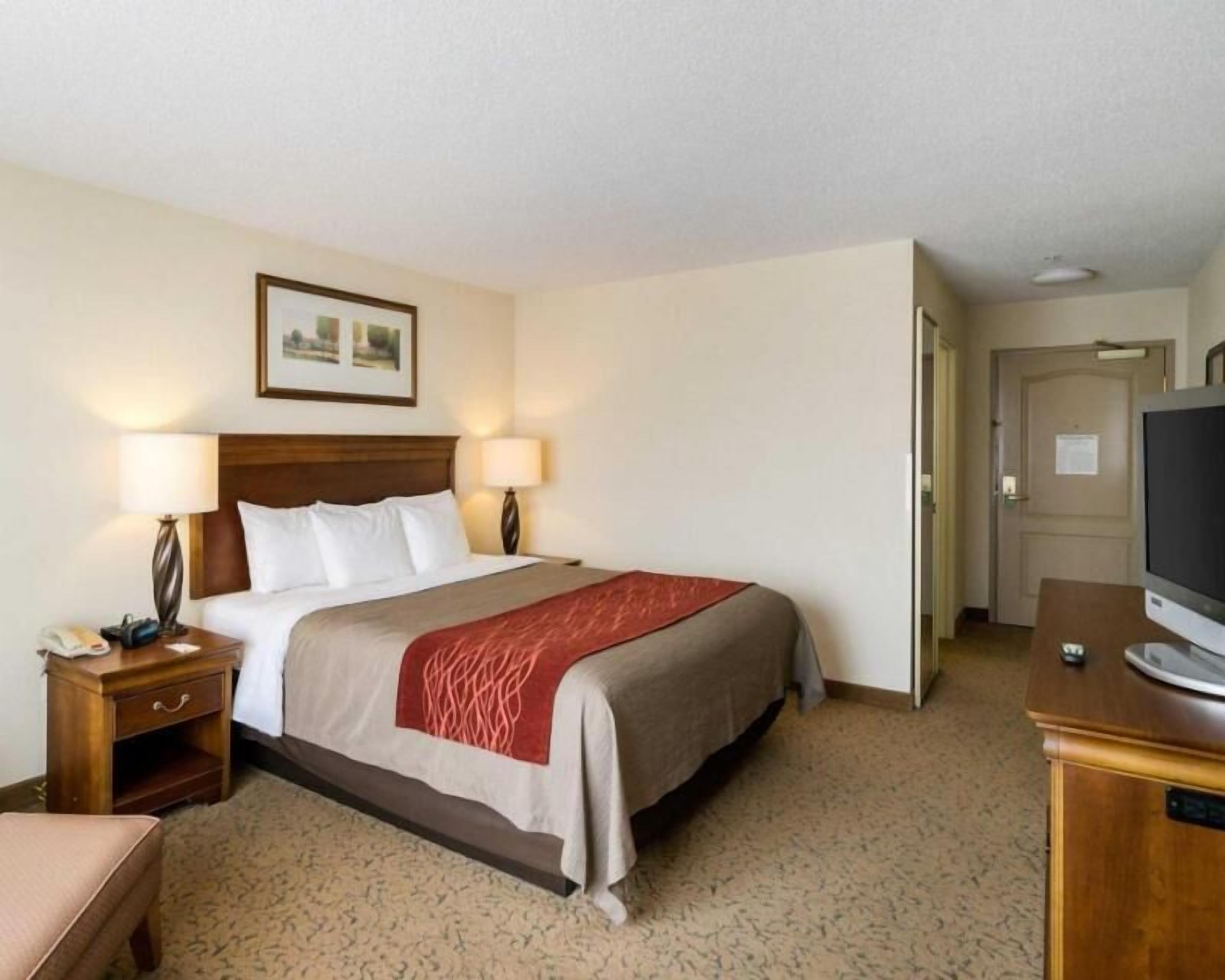 Iron/ironing board, free cribs/infant beds, rollaway beds, free WiFi