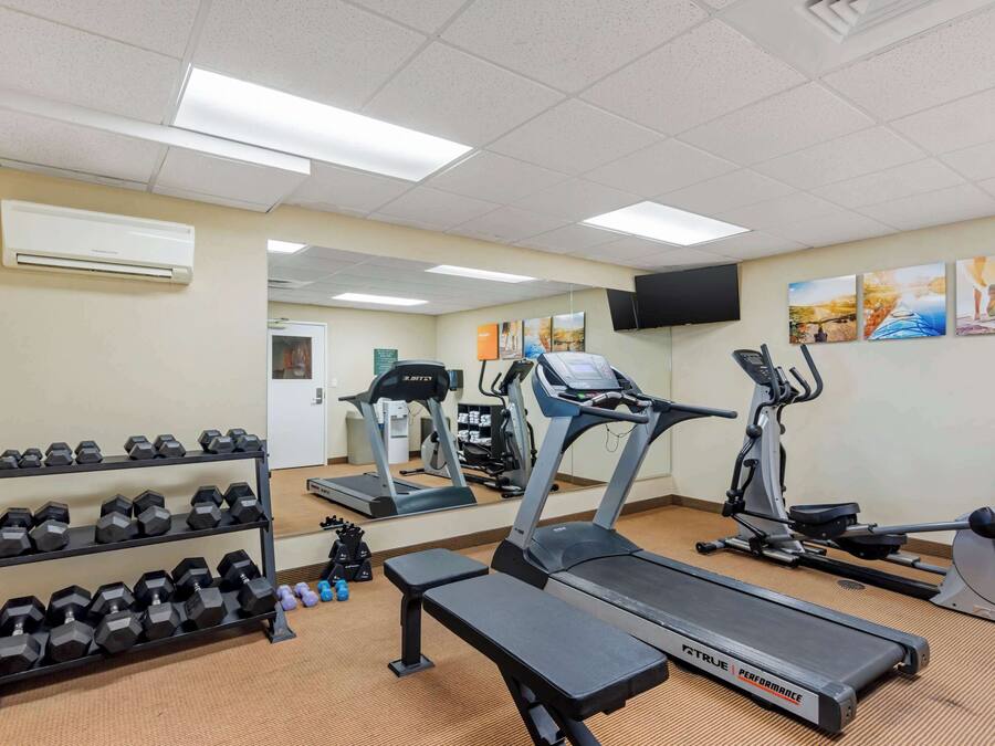 A gym with treadmills, elliptical machines, and a rack of dumbbells.