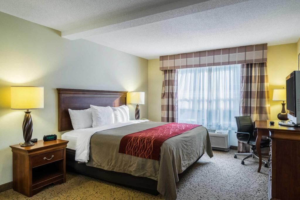 Iron/ironing board, free cribs/infant beds, rollaway beds, free WiFi