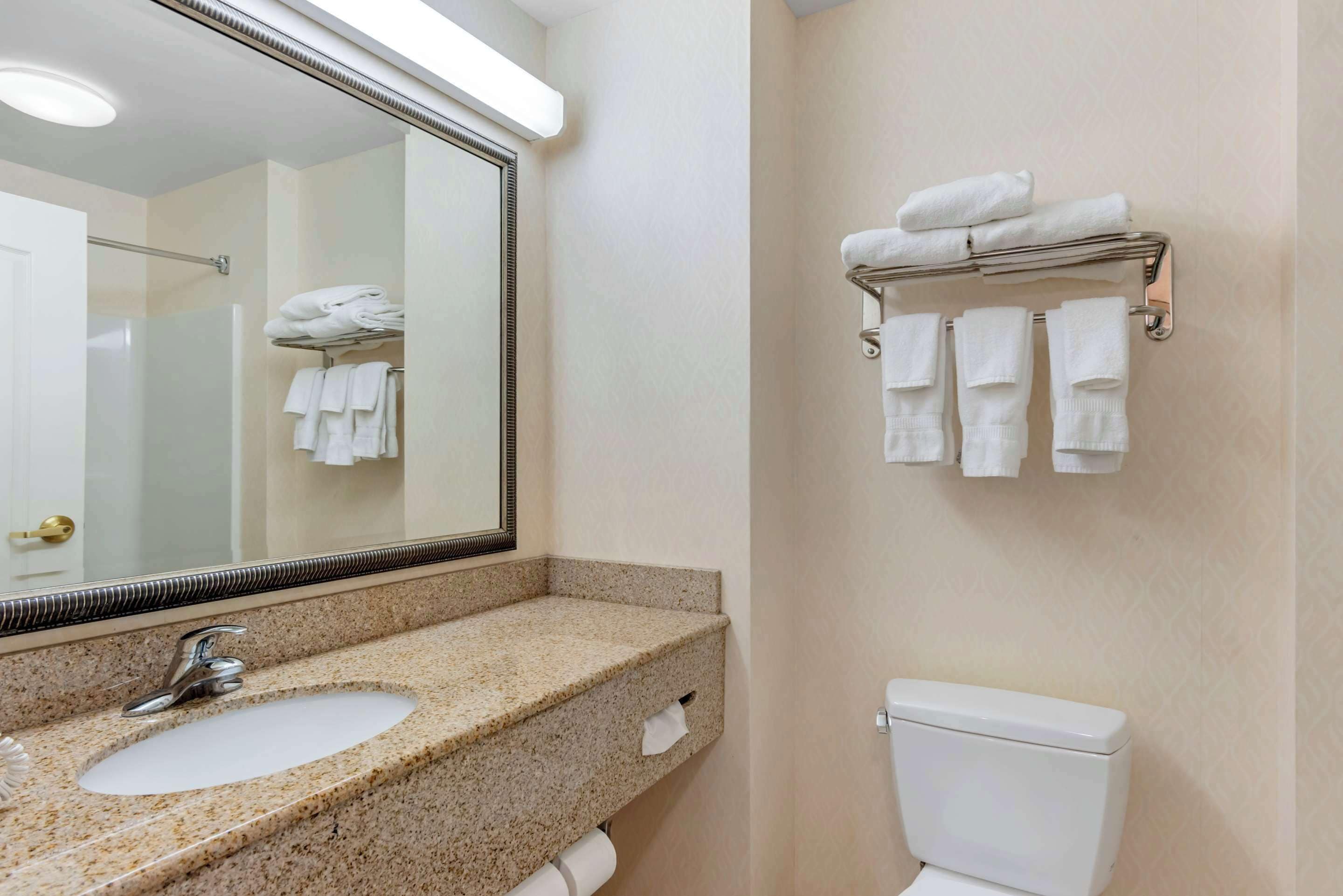 suite, 1 king bed with sofa bed, non smoking (2 person sofa bed) | 1 bedroom, iron/ironing board, free cots/infant beds, rollaway beds