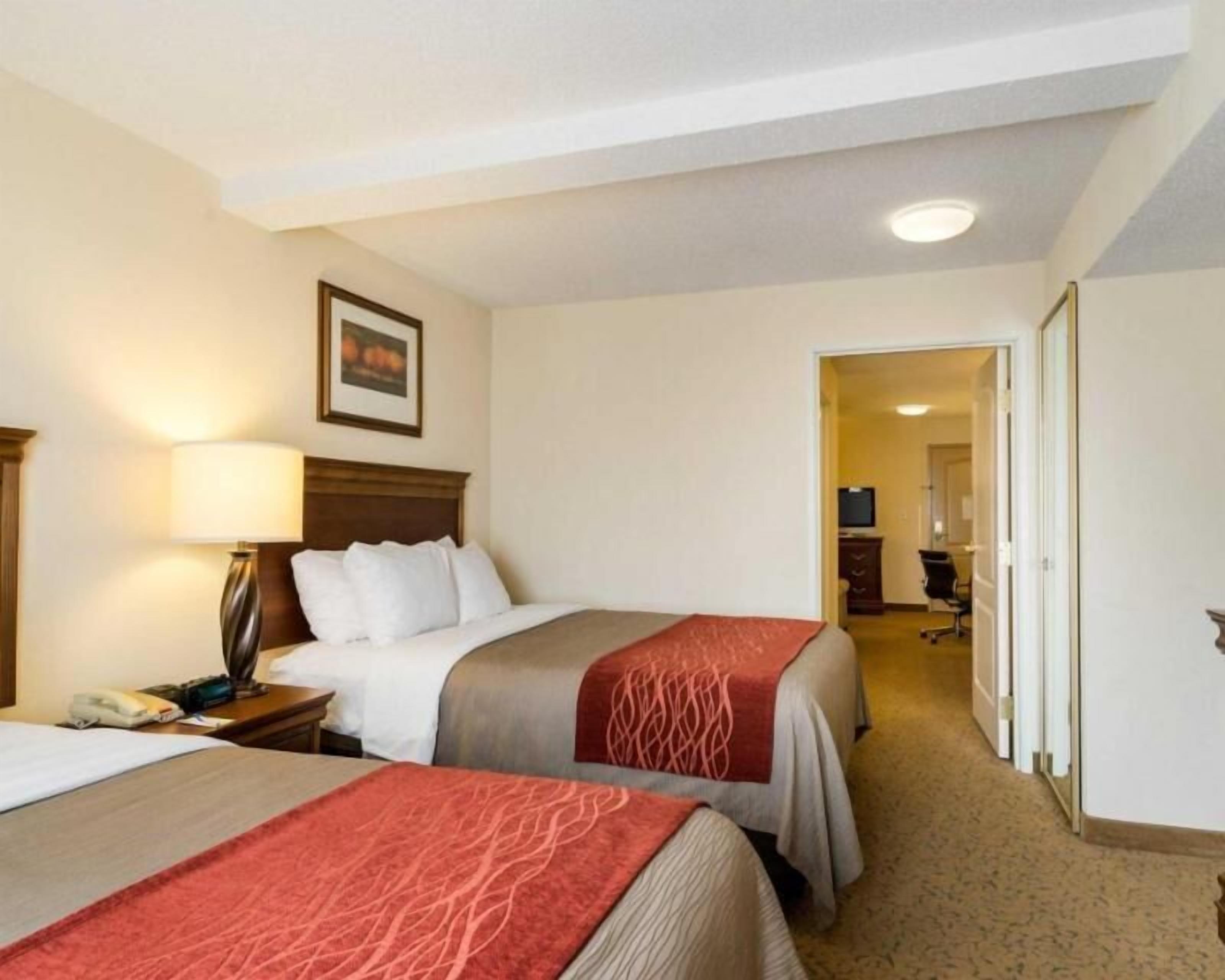 Iron/ironing board, free cribs/infant beds, rollaway beds, free WiFi