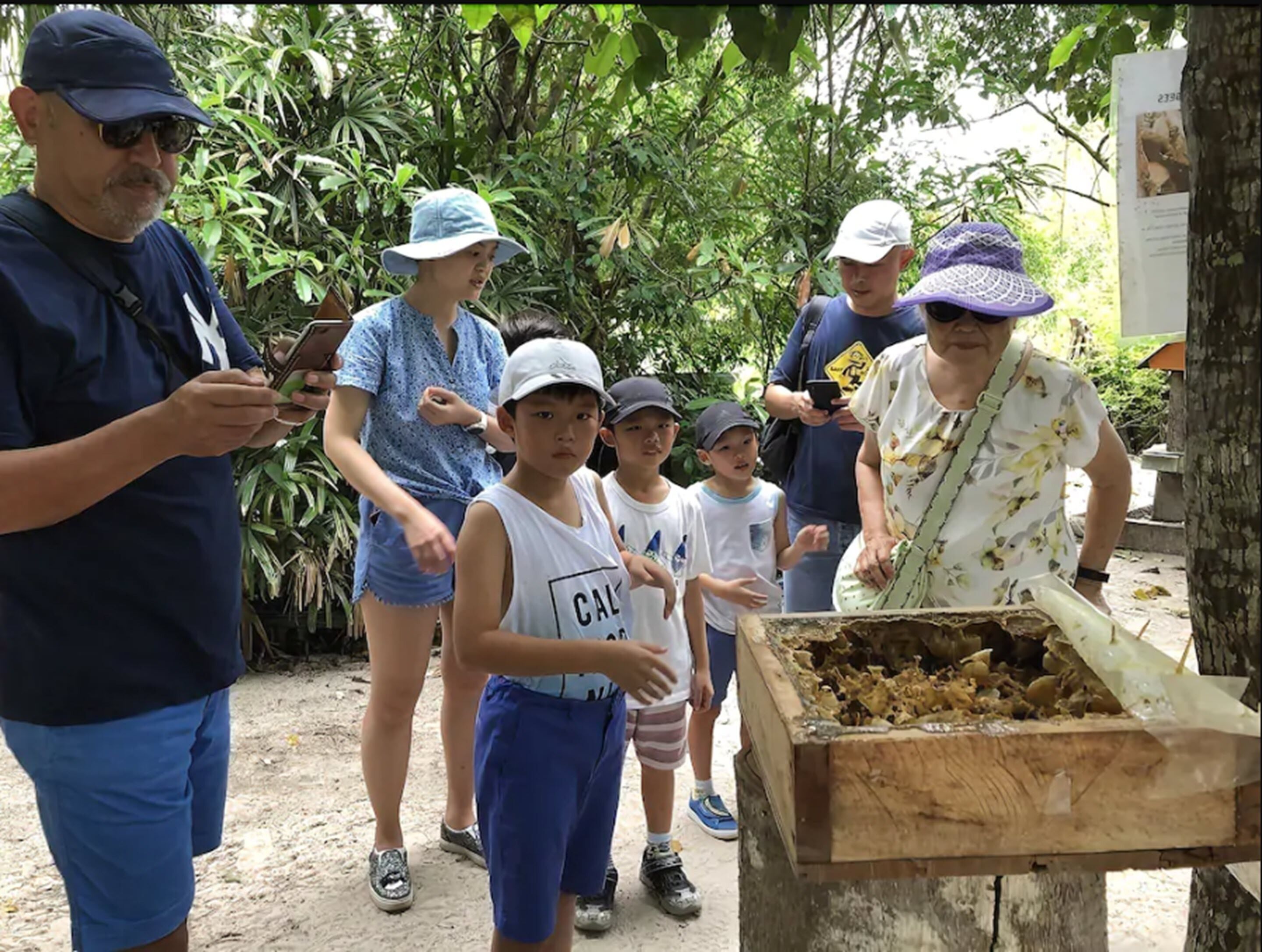 Photo - Frangipani Langkawi Resort