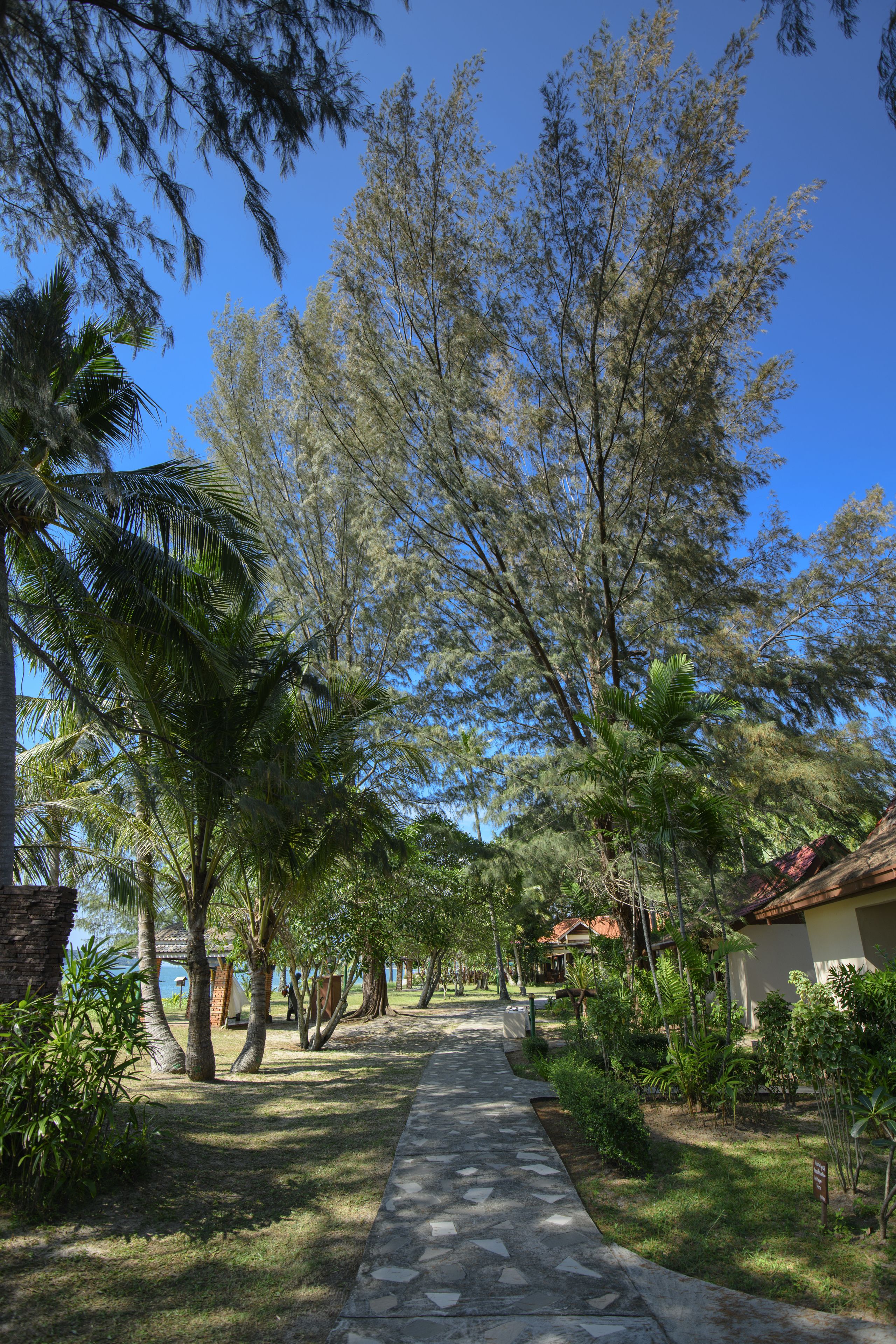 Photo - Frangipani Langkawi Resort