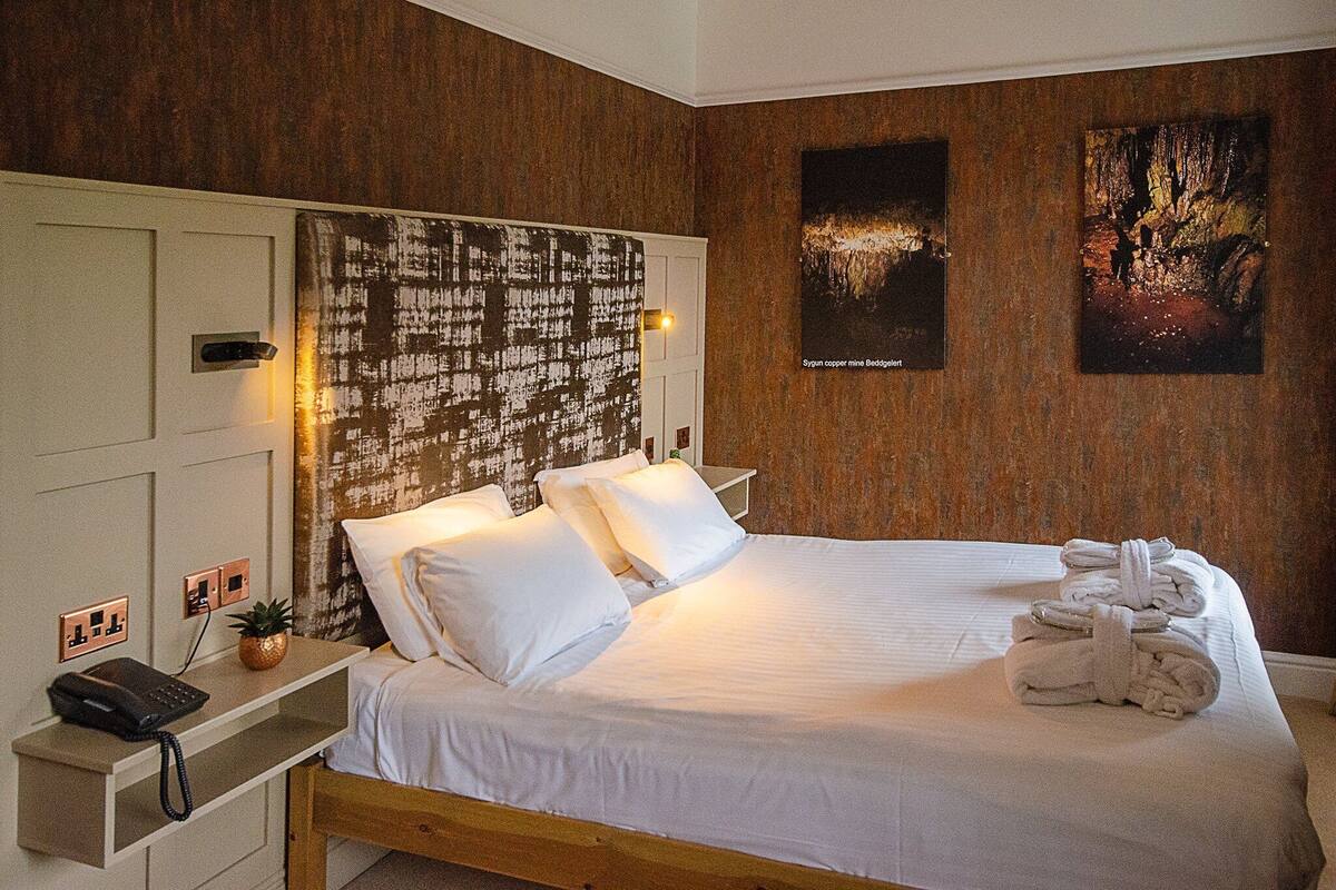 executive double room | 1 bedroom, iron/ironing board, free wifi, bed sheets