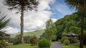 A pathway leading through a lush garden with a variety of trees and shrubs, a picnic table, and a small structure with an umbrella. - The Royal Victoria Hotel (Caernarfon)