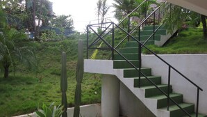 Unclassified image, 2 of 19, button - Pacifico Lunada (Manuel Antonio)