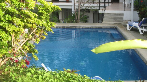 Unclassified image, 1 of 19, button - Pacifico Lunada (Manuel Antonio)