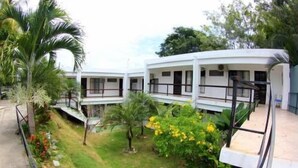 Unclassified image, 4 of 19, button - Pacifico Lunada (Manuel Antonio)