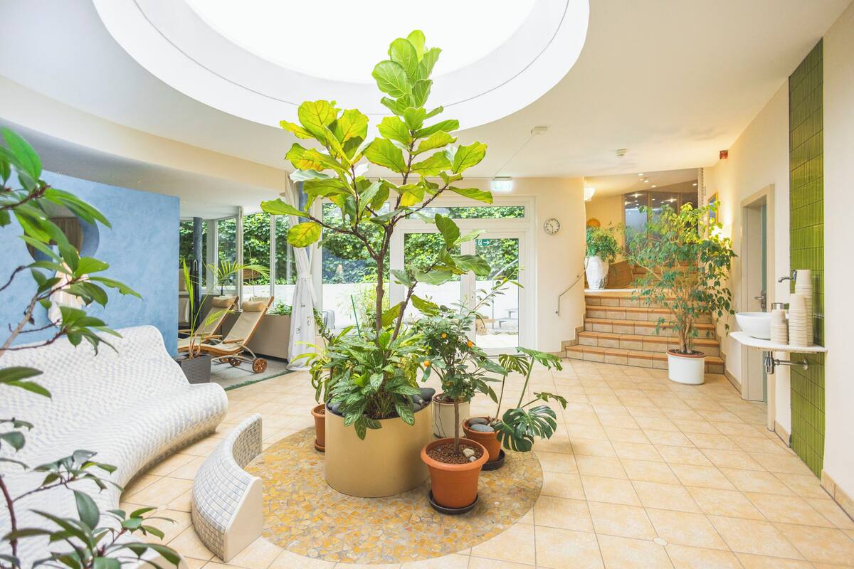 sauna, steam room, 3 treatment rooms, massages