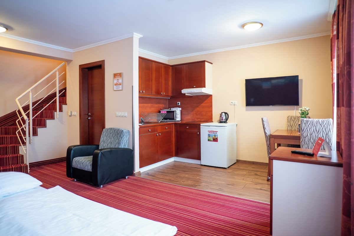 Una habitación de hotel con una cama, una silla, una kitchenette, un televisor y una escalera.