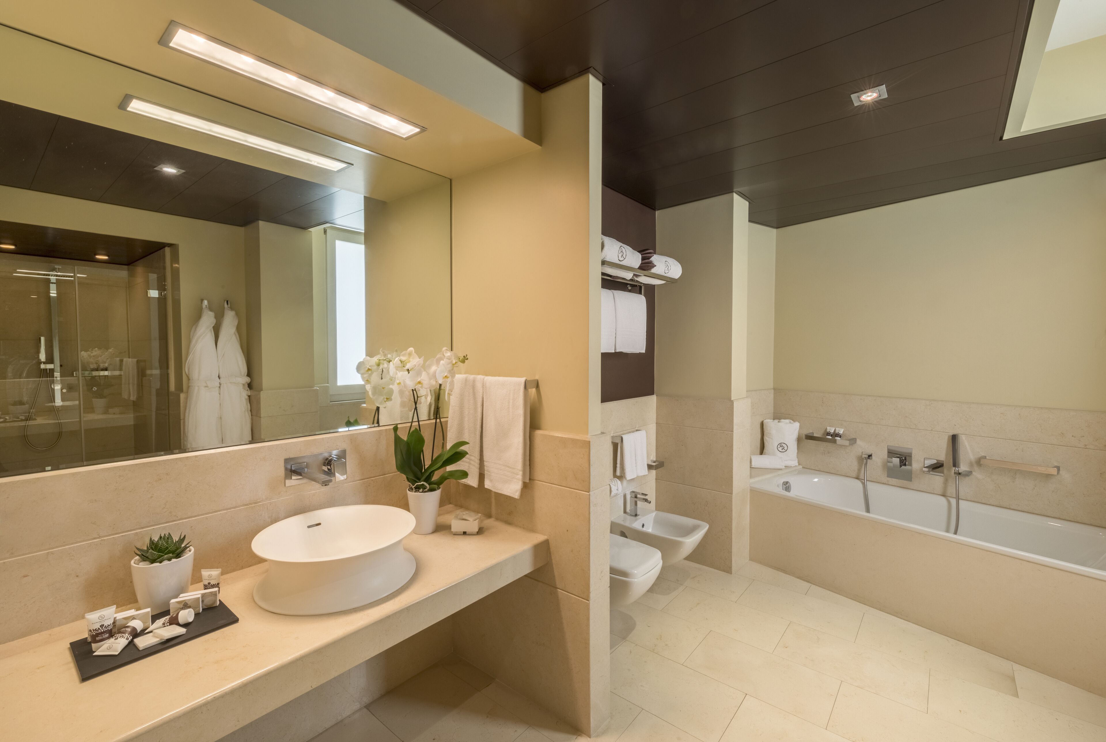 separate bathtub and shower, free toiletries, hair dryer, bathrobes