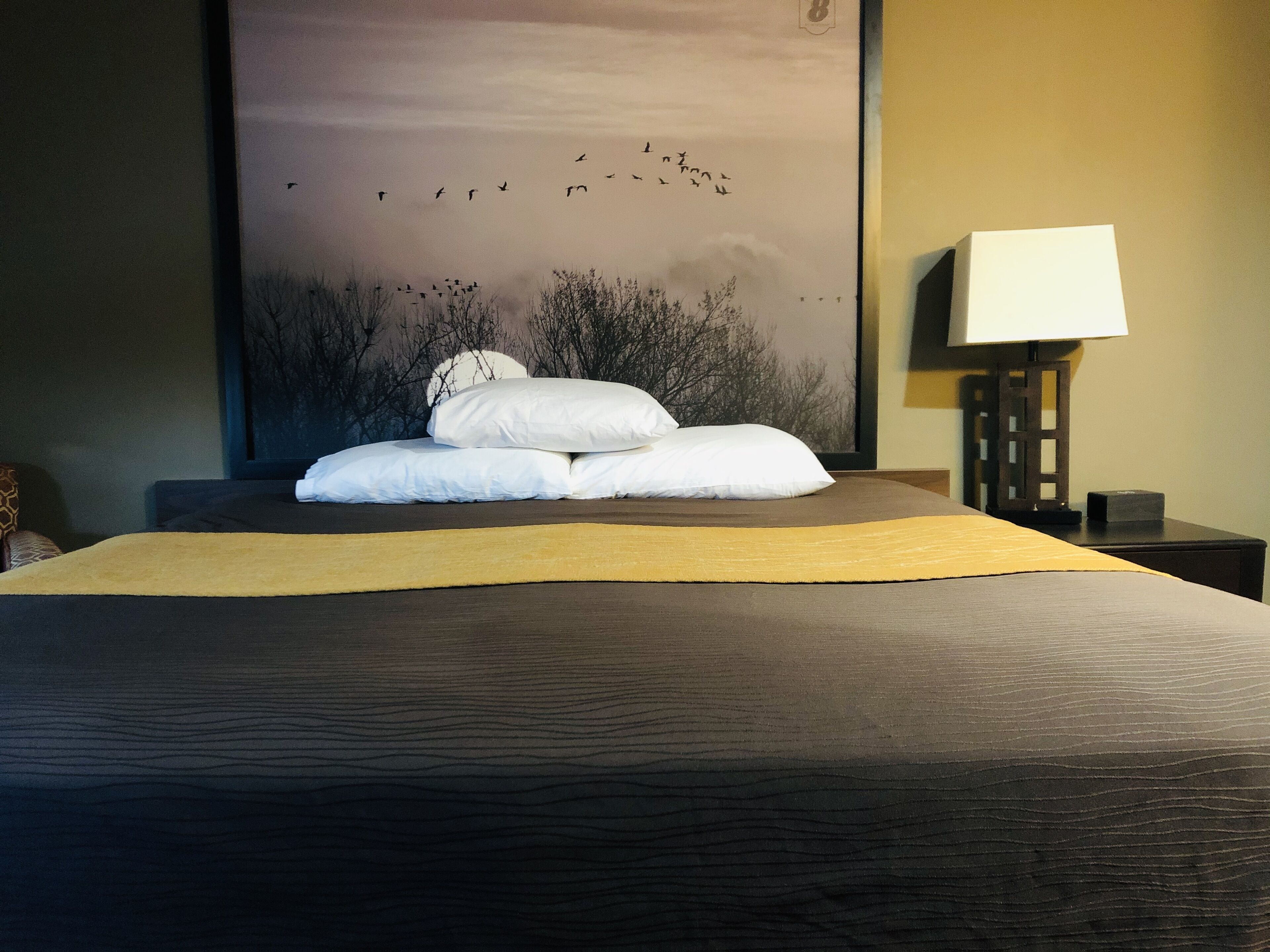 Nệm có lớp đệm bông, bàn, màn/rèm cản sáng, bàn ủi/dụng cụ ủi quần áo 