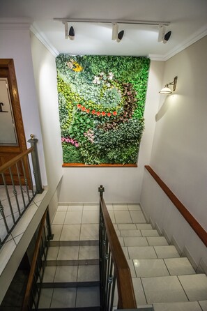 5 bars/lounges, poolside bar