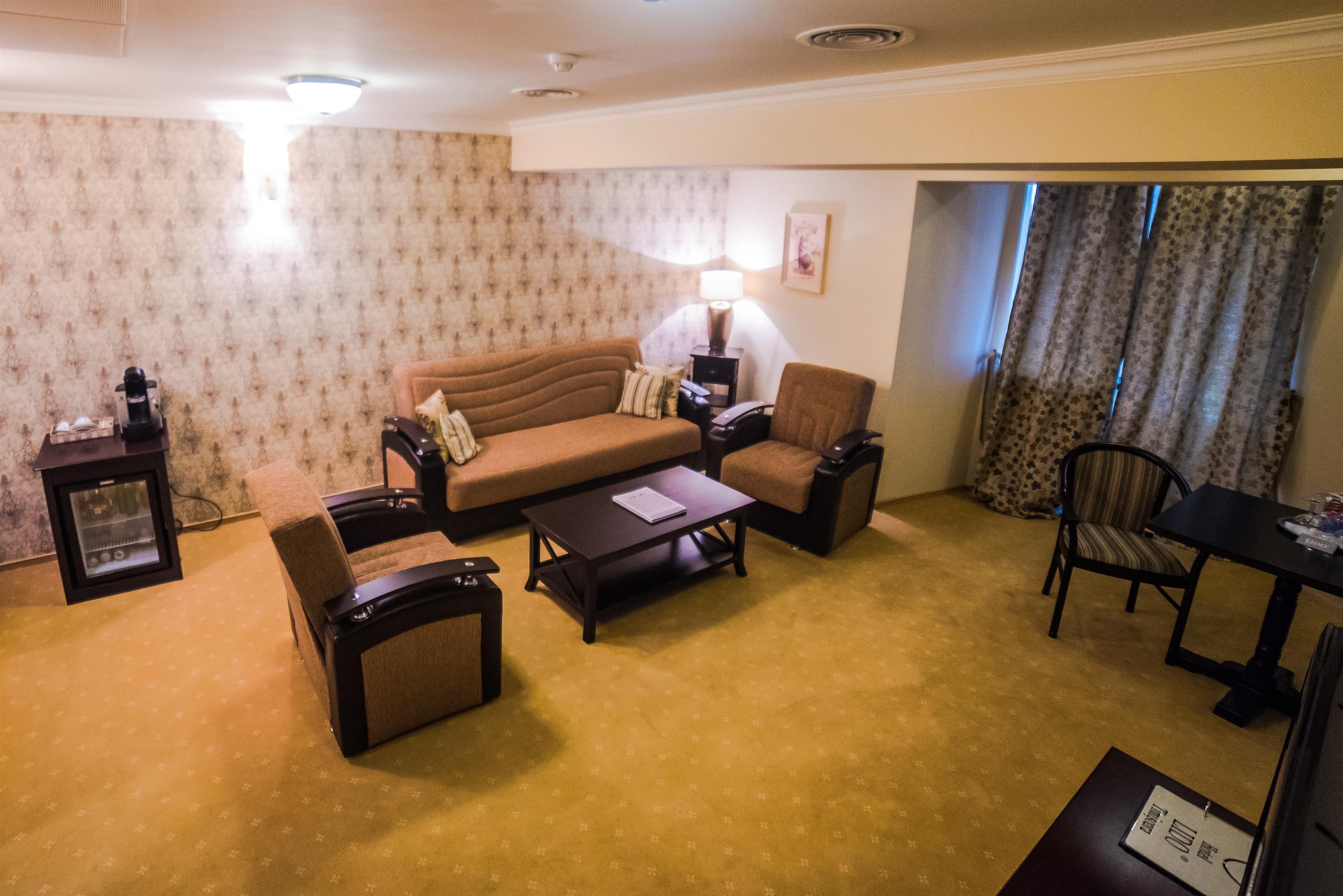 standard apartment, 1 king bed, non smoking, bathtub (with sofabed) | 1 bedroom, premium bedding, minibar, in-room safe