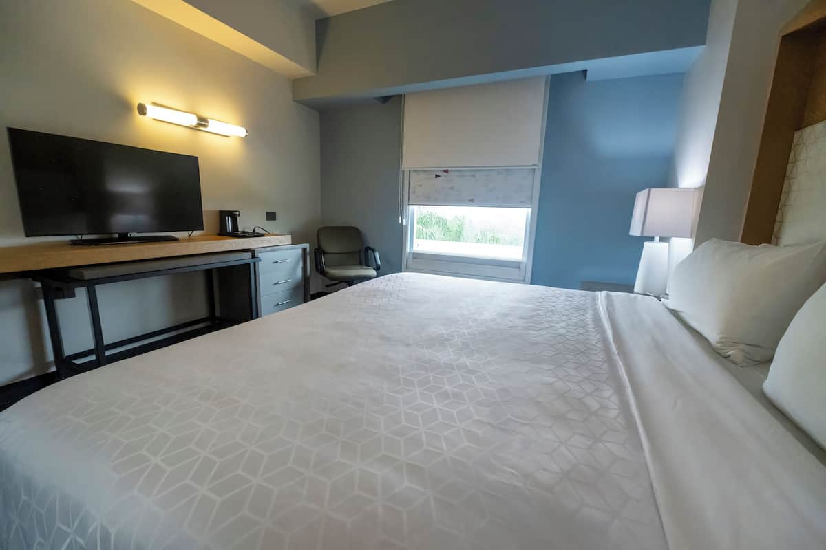 Standard Room, 1 King Bed, Accessible (Comminications, Mobility) | 1 bedroom, premium bedding, down comforters, Select Comfort beds