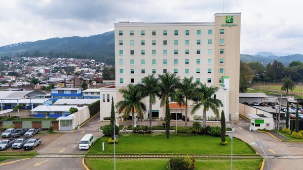 A Holiday Inn hotel with a modern design, surrounded by lush greenery and a view of a residential area.