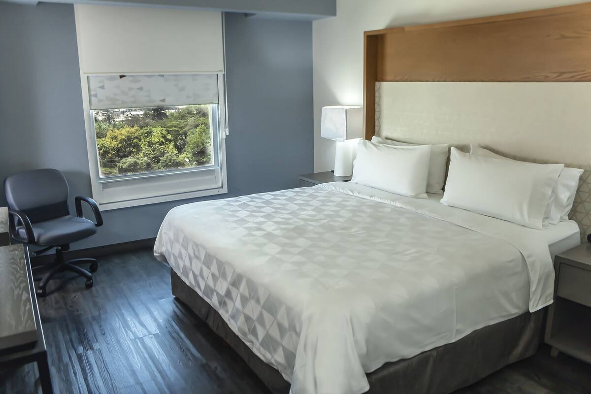 Habitación de hotel con una cama grande, un escritorio, una silla, una mesita de noche con lámpara y una ventana con vistas a árboles.