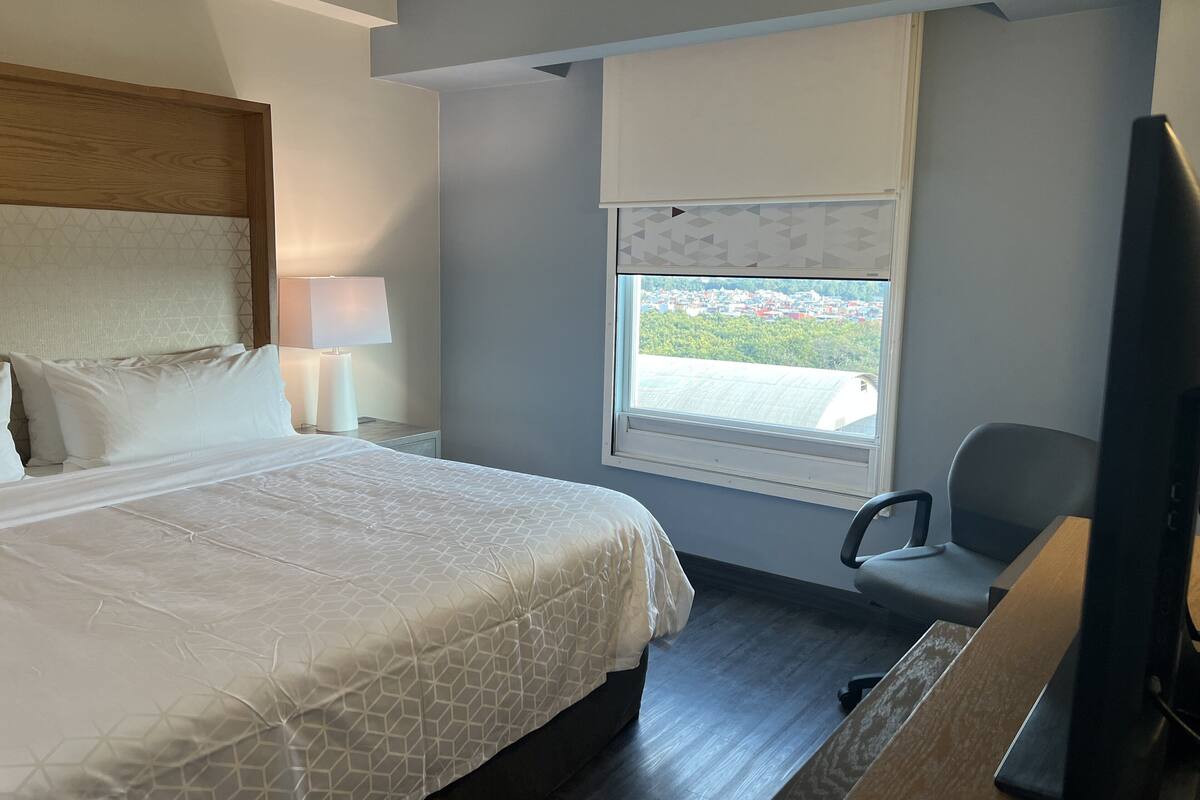 Habitación de hotel con cama, escritorio, silla, televisor y ventana con vista a edificios.