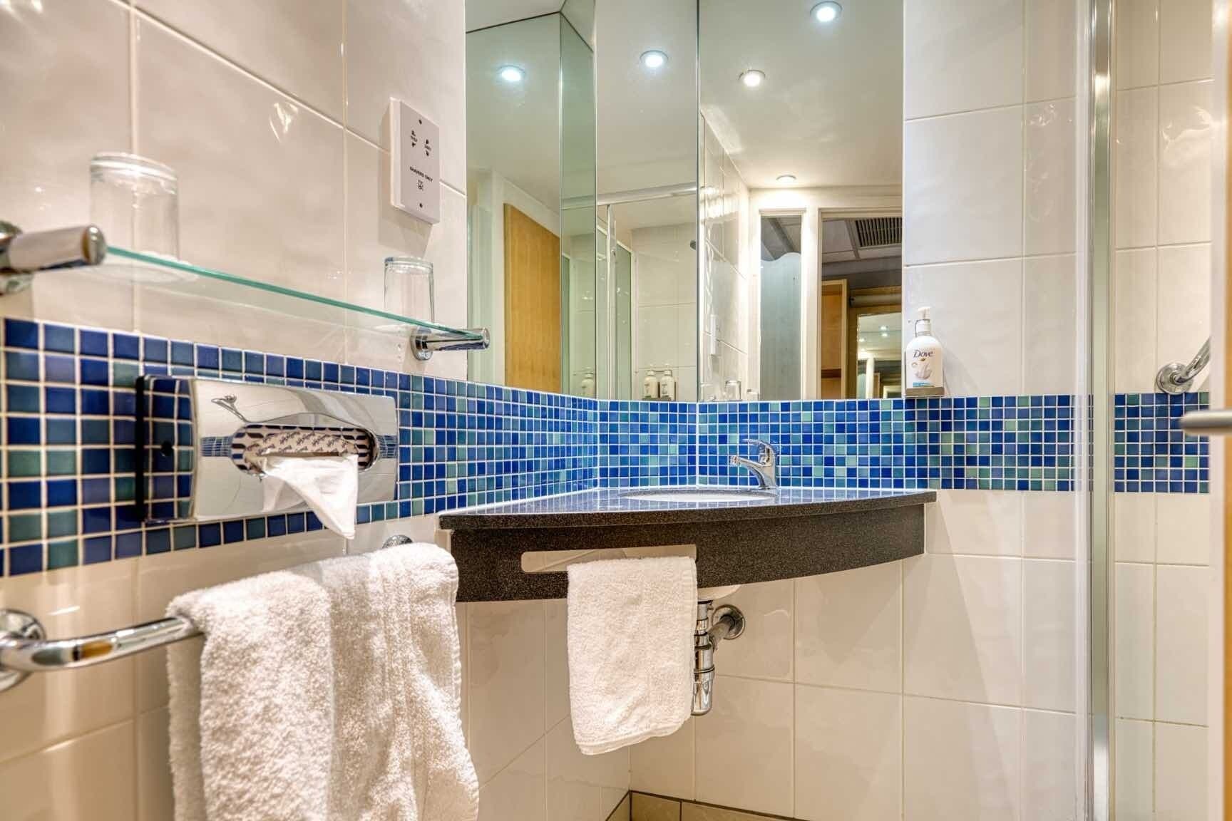 shower, free toiletries, hair dryer, towels