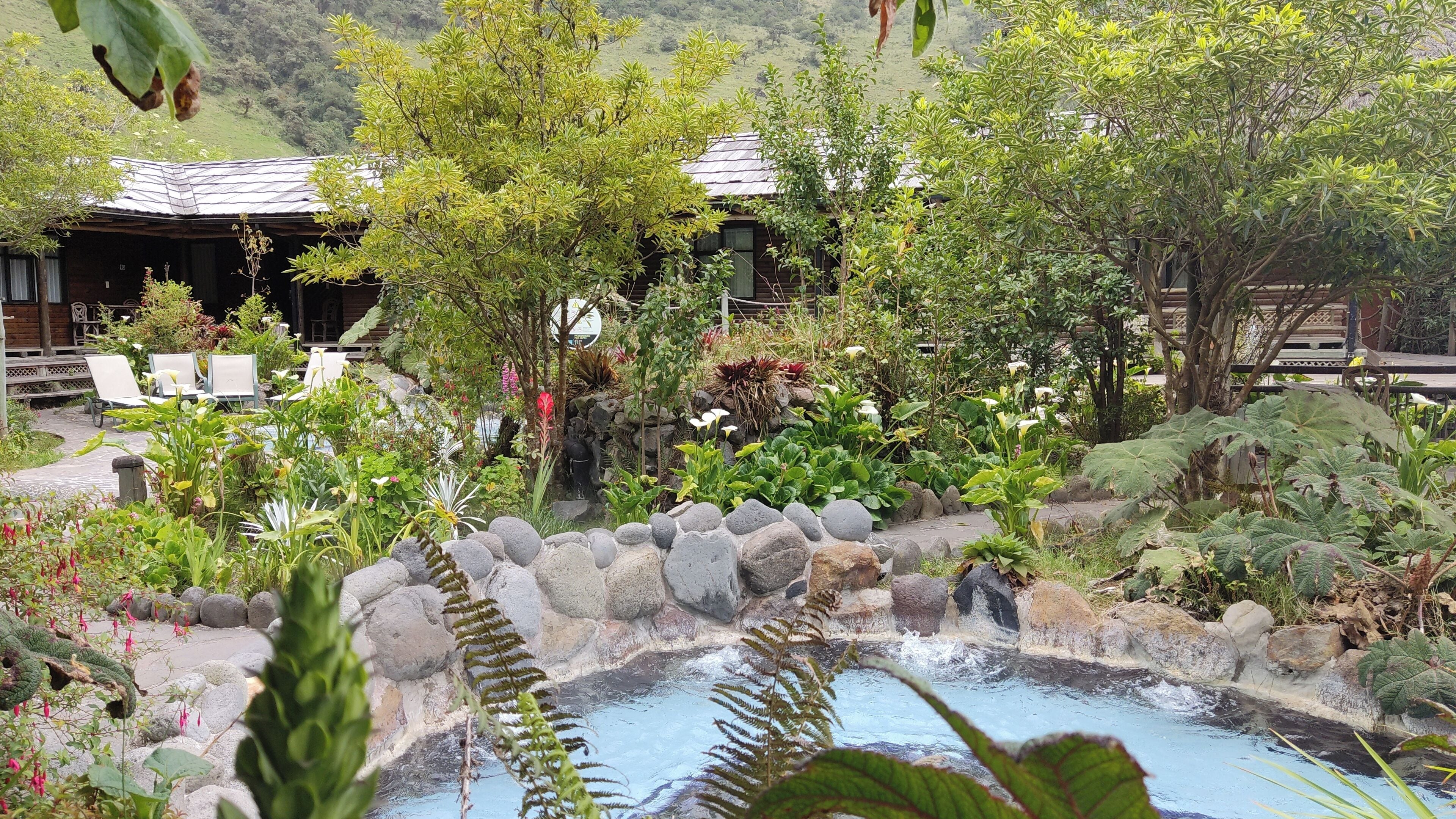 Deluxe Room, 1 King Bed, Hot Tub, Pool View | View from room