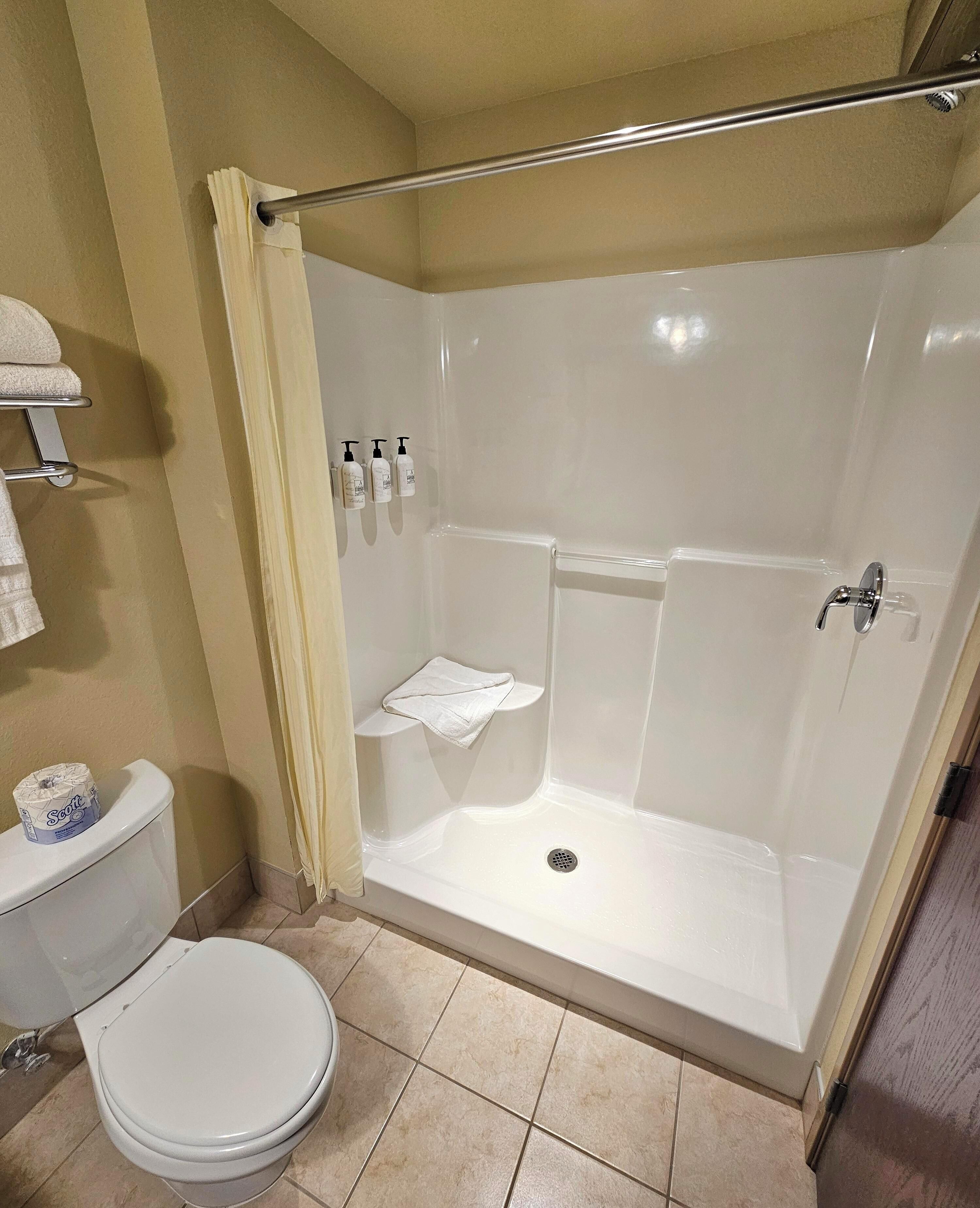 Une salle de bain avec douche, toilettes et une étagère contenant des articles de toilette.