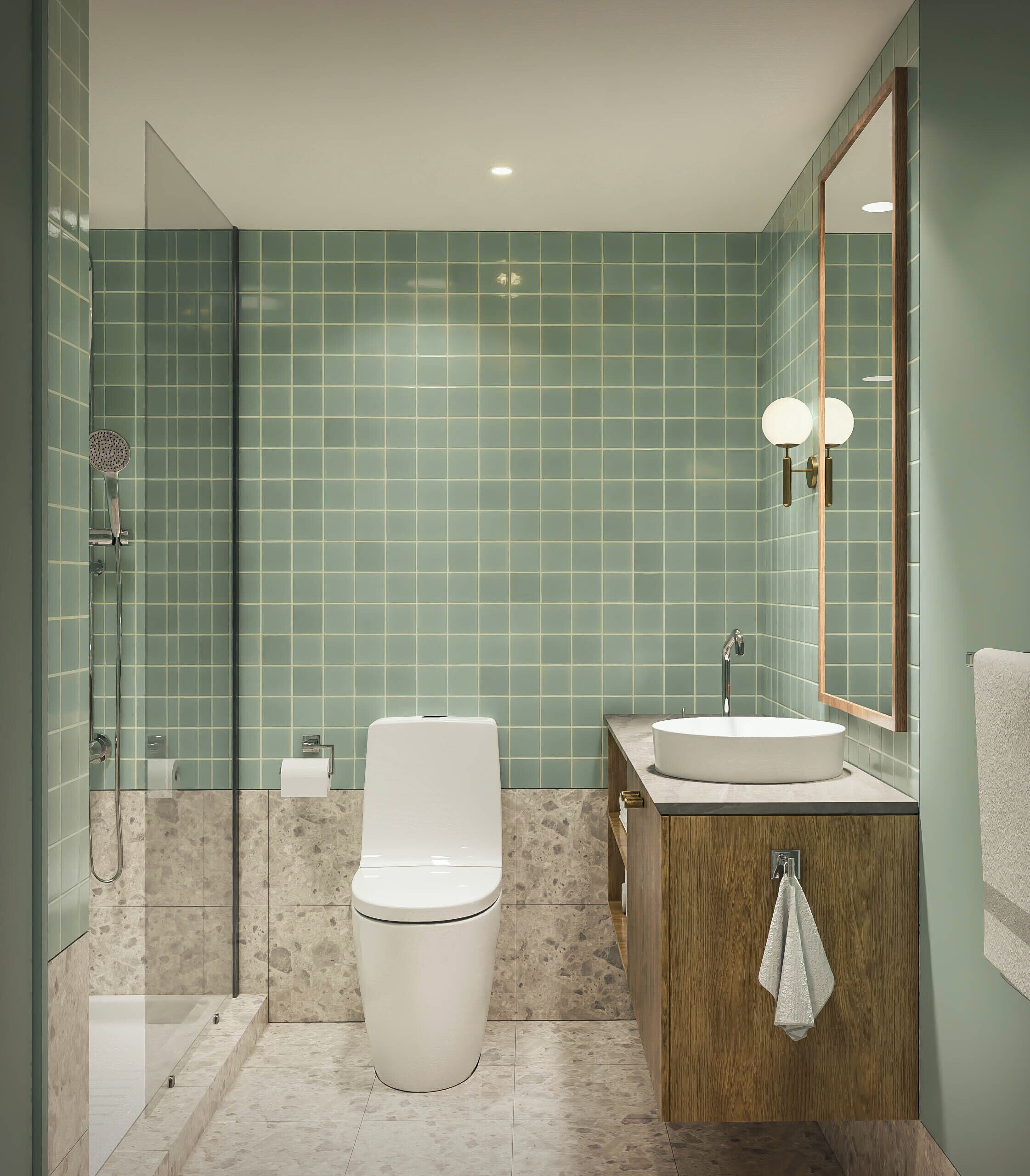 Combined shower/tub, free toiletries, hair dryer, towels