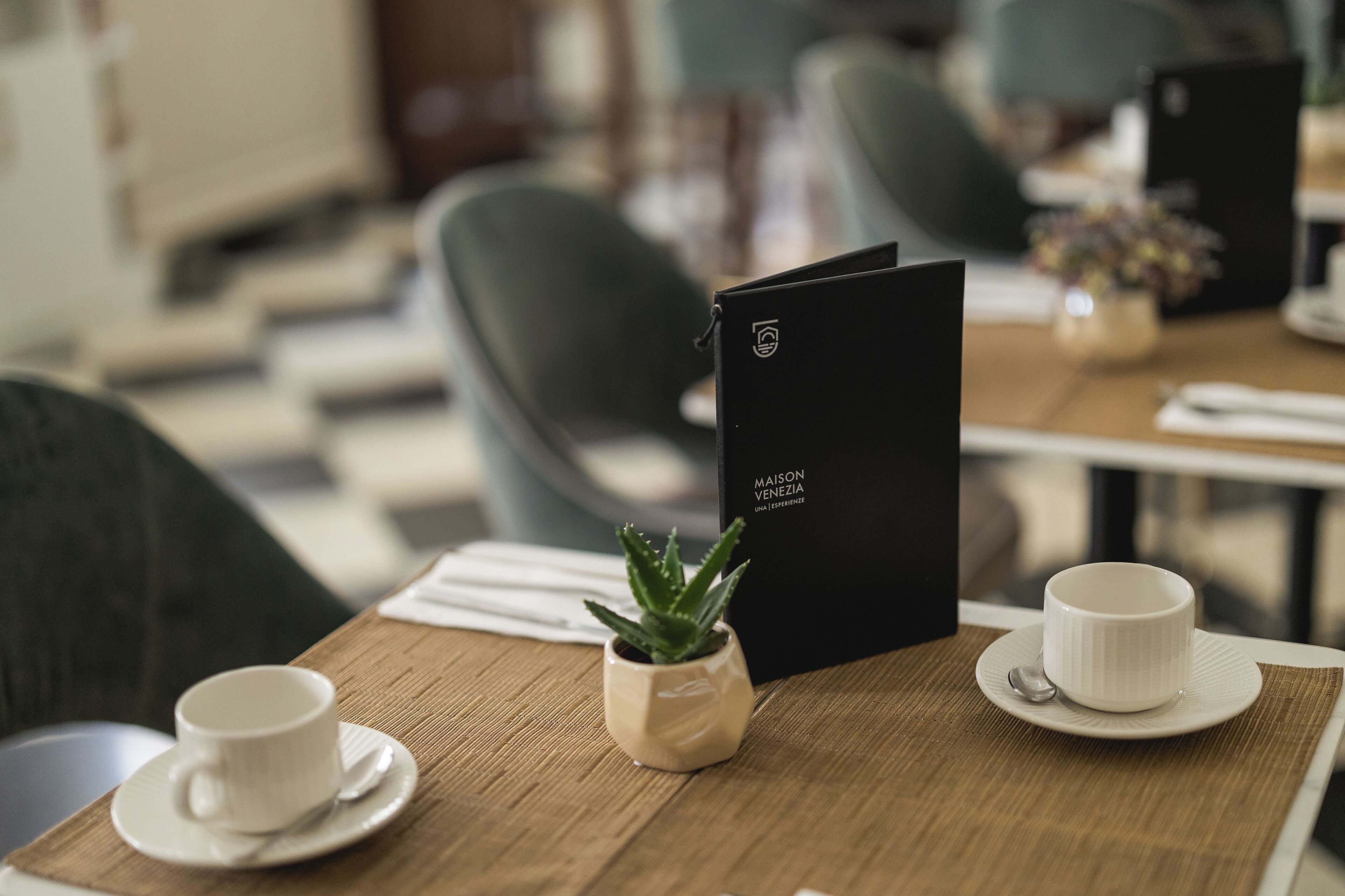 A wooden table with a menu, two white cups, a small potted plant, and a spoon.