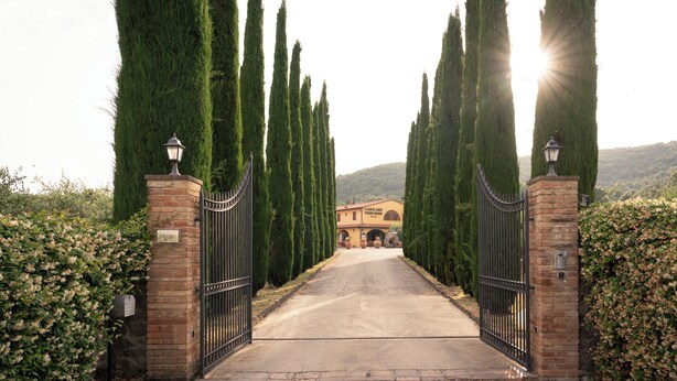 A gated entrance with tall cypress trees, a paved path leading to a building with a yellow facade, and a mountain in the background.