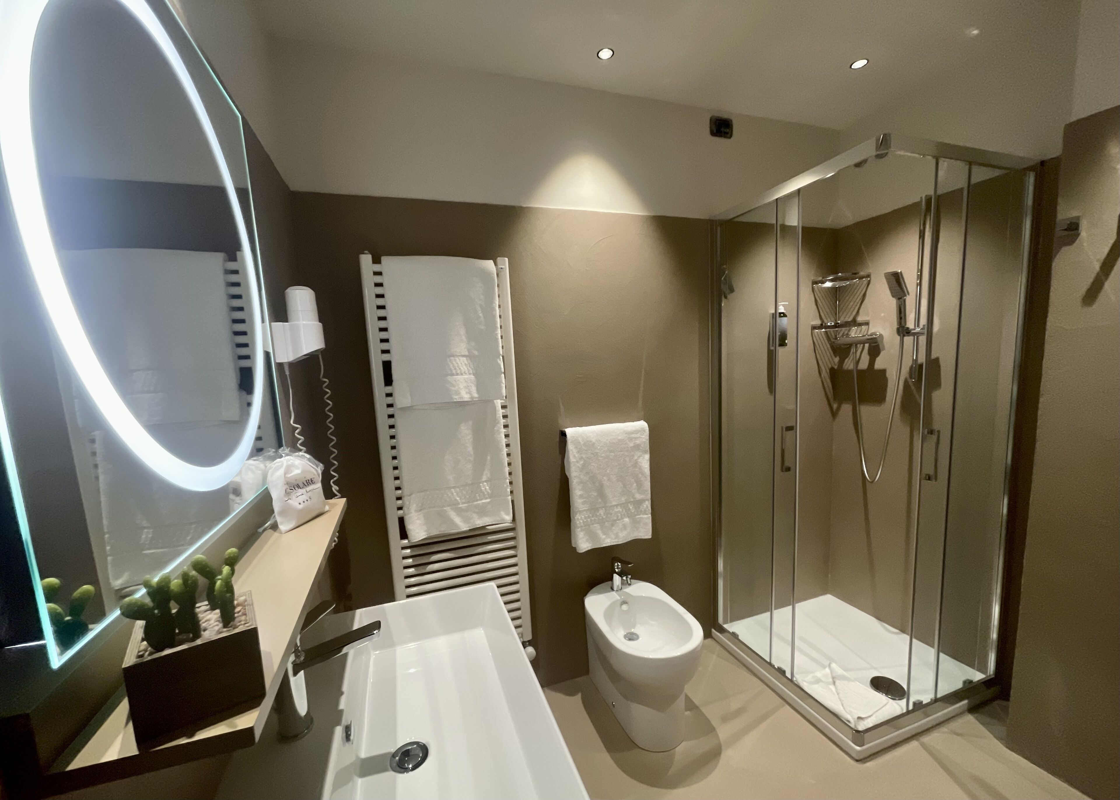 shower, eco-friendly toiletries, hair dryer, bidet