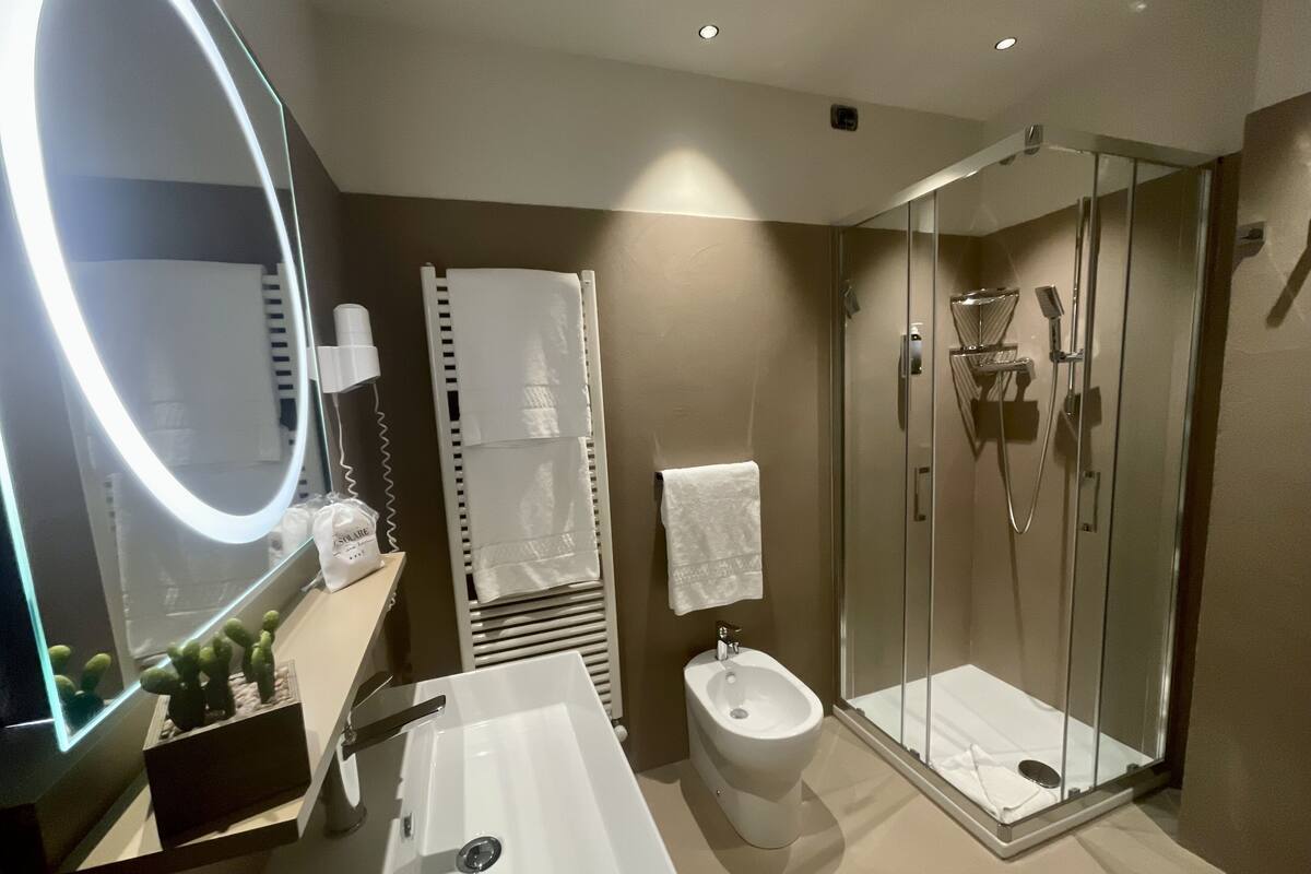 shower, eco-friendly toiletries, hair dryer, bidet