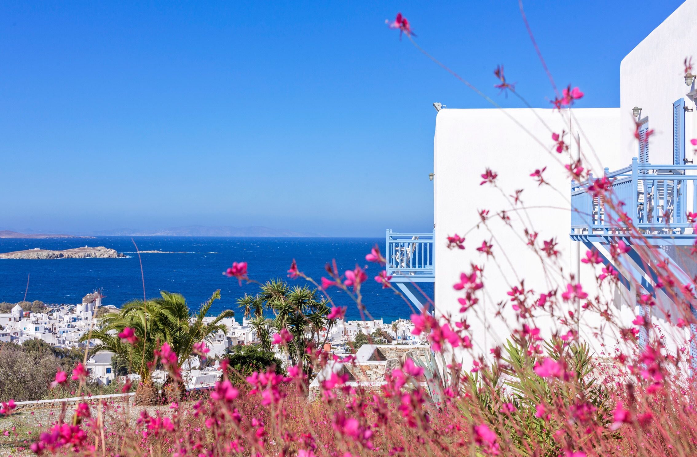 Foto - Vencia Boutique Hotel