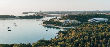 A coastal cityscape with a marina, buildings, and dense greenery.