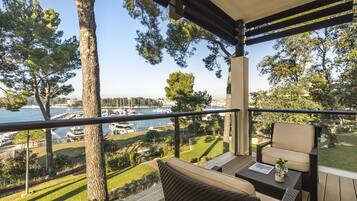 Executive Suite | View from room