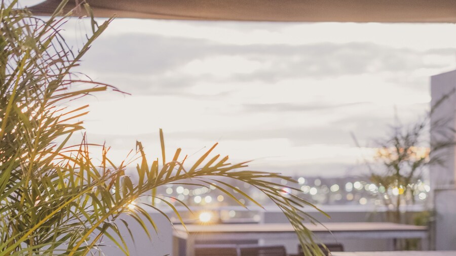 Mercure Centro Port Macquarie
