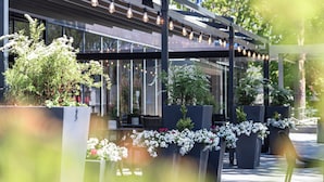 An outdoor seating area with potted plants and string lights.