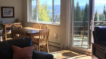 TV, fireplace, DVD player